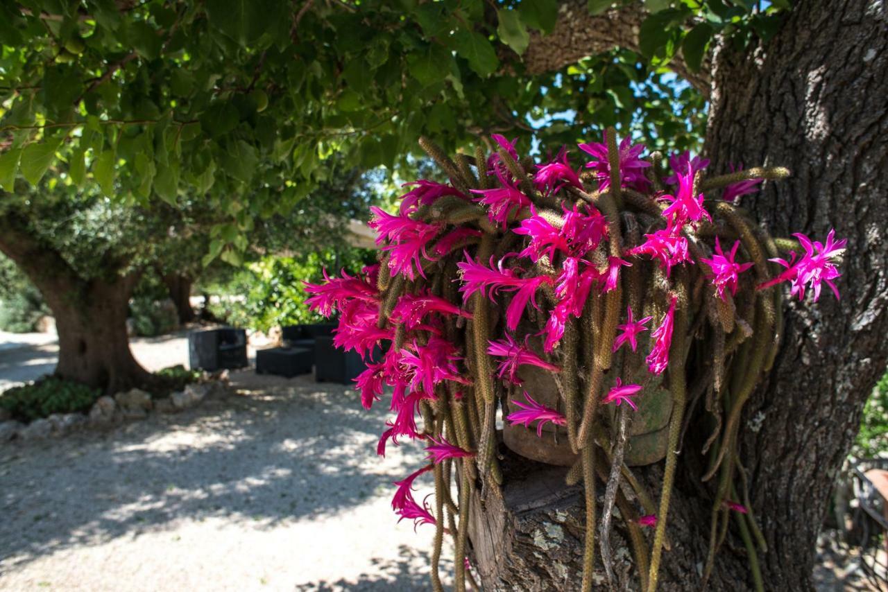 Agriturismo Grotta Di Figazzano Cisternino Exterior photo